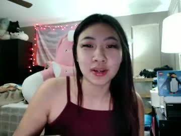 girl
        hiddenr0se cam image #445297