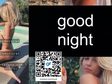 girl
        ocicat cam image #2749796