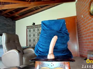 girl
        little_izzi cam image #4191195