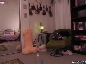 girl
        evelynpiers cam image #1314220