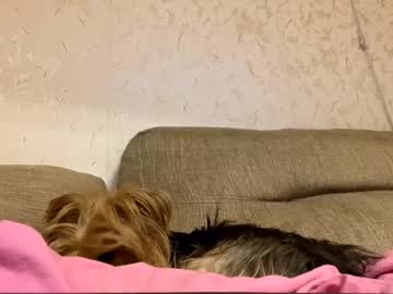 girl
        edlinhazleton cam image #6656920