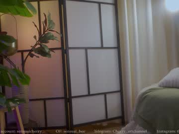 girl
        gigi_ulala cam image #6701567