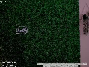 girl
        runesy cam image #2333931