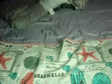 girl
        thatshot0820 cam image #323334