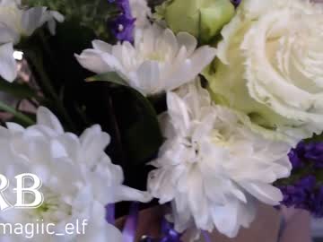 girl
        magic_elf cam image #1408758