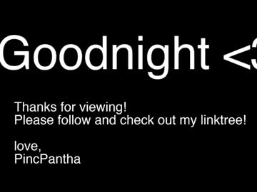 girl
        pincpantha cam image #4669310