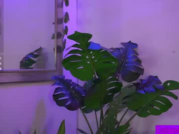 girl
        calypso_and_ge1 cam image #7010885