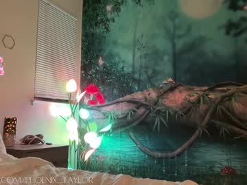 girl
        phoenix_taylor cam image #4567388
