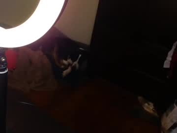girl
        dawnwillow cam image #6366905