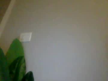 girl
        _natycutei19 cam image #6716298