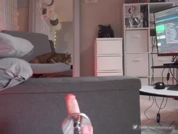 girl
        finleyfae cam image #4326557