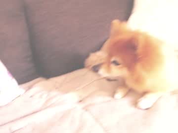 girl
        kendalltyler cam image #3881308