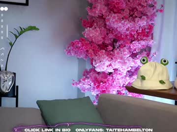 girl
        taitehambelton cam image #6752111