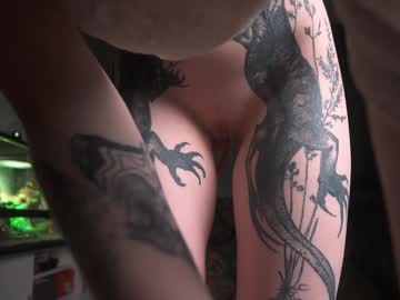 girl
        iara_mi cam image #6799501