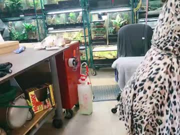 couple
        wifen_heels cam image #5141307