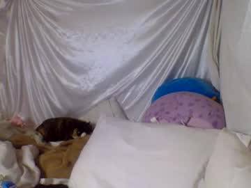 girl
        ari_02 cam image #2016592