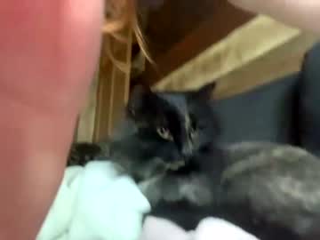 girl
        vcielia cam image #1556698