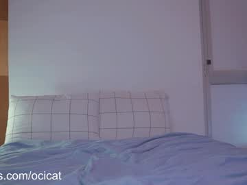 girl
        ocicat cam image #5119741