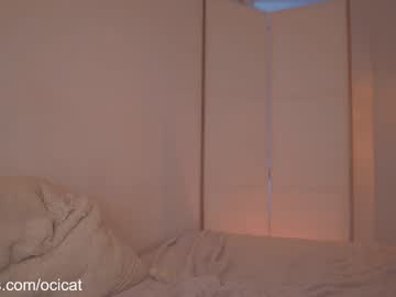 girl
        ocicat cam image #6458386