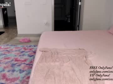 girl
        princess_cece cam image #2131910