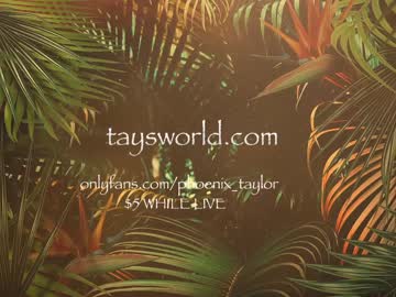girl
        phoenix_taylor cam image #127375