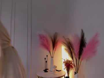 girl
        sasasnow cam image #4576024