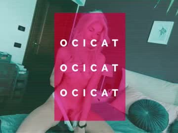 girl
        ocicat cam image #1952078
