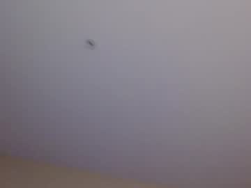 girl
        thekittykatbar cam image #3268304