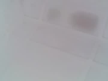 couple
        pinky_butterflys cam image #2179546