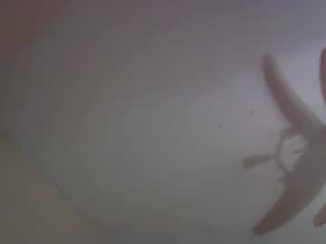 girl
        kitty588 cam image #2009212