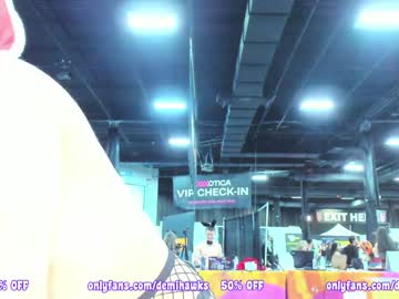 girl
        demihawks cam image #5342401