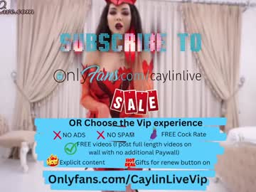 girl
        caylin cam image #6764959