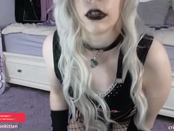 girl
        crimsonkitten cam image #3927263