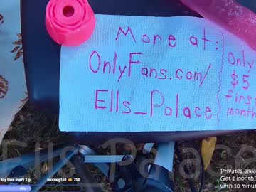 couple
        ells_palace cam image #5090173