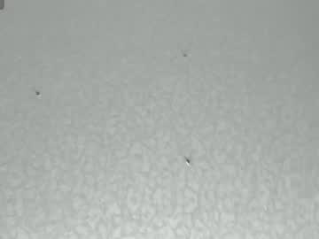 couple
        final_fantase cam image #5753769