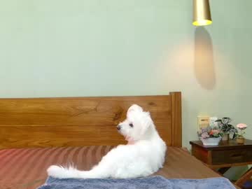 girl
        hersheys_aran cam image #5417362